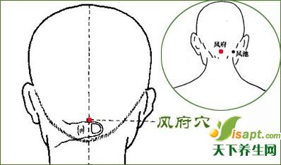 祛病延年：经络穴位养生法