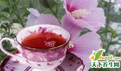最适宜女性饮用的8花草茶