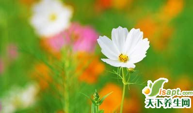 ۽о磬ʵ