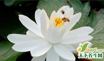 ۽о磬ʵ