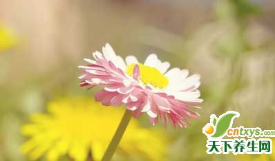 ۽о磬ʵ