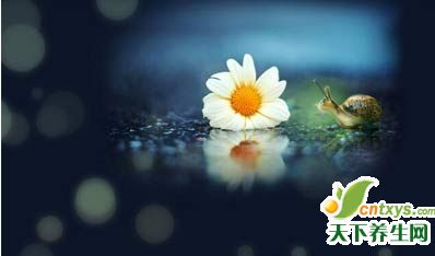 20仰ܲȴʵ